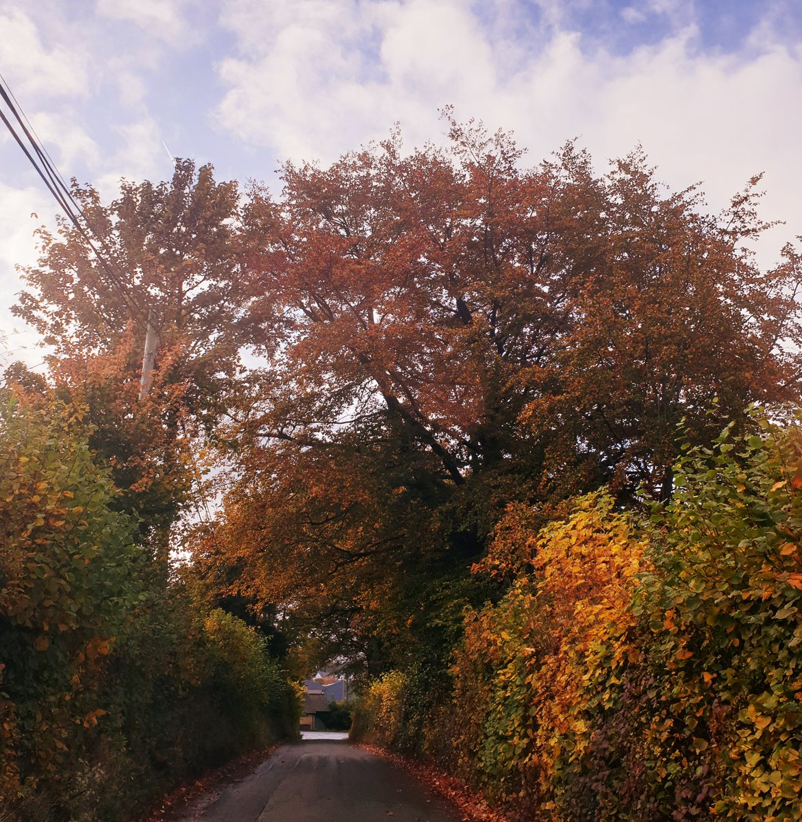 VisitBrecon tweet media