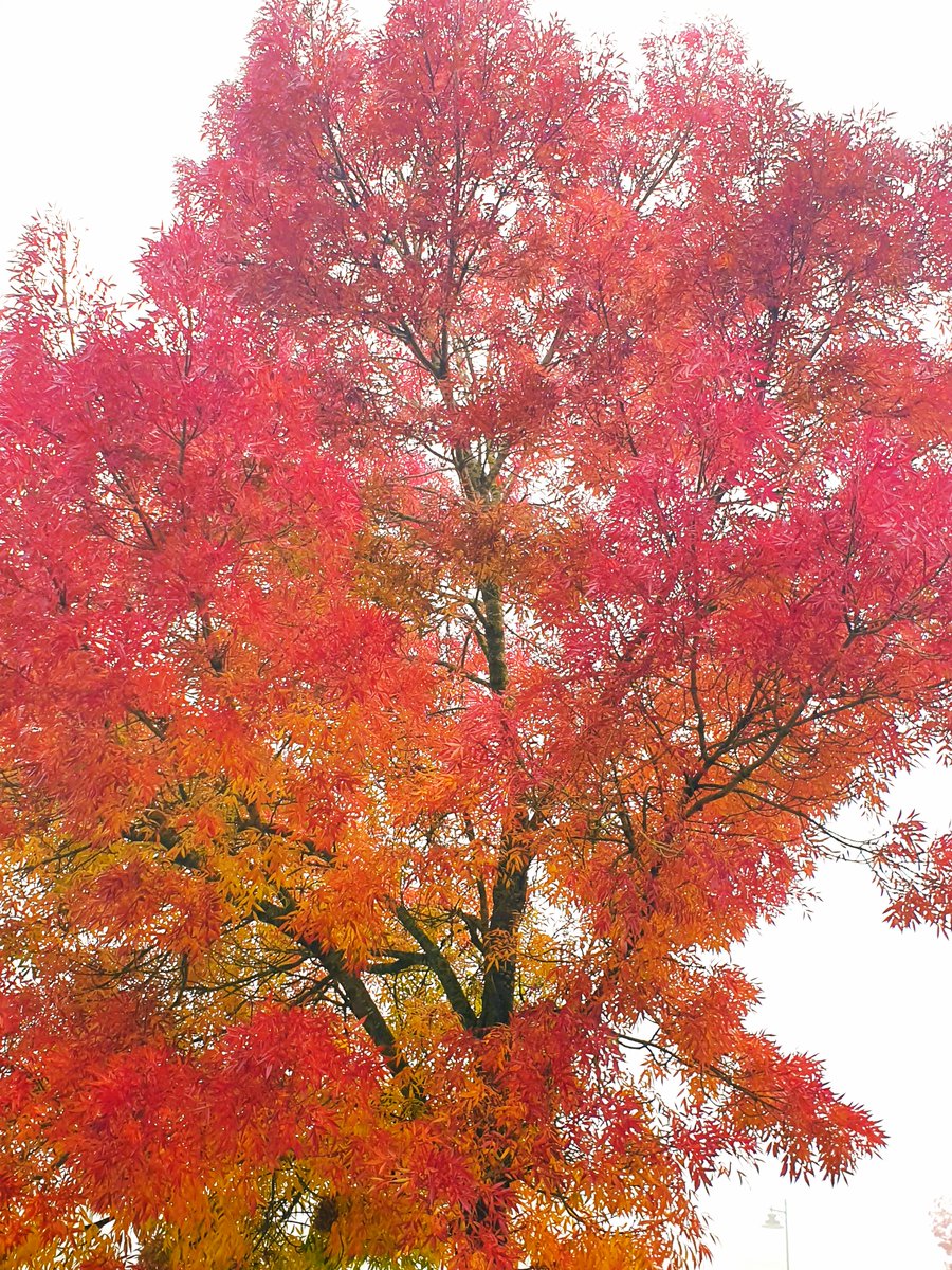 VisitBrecon tweet media