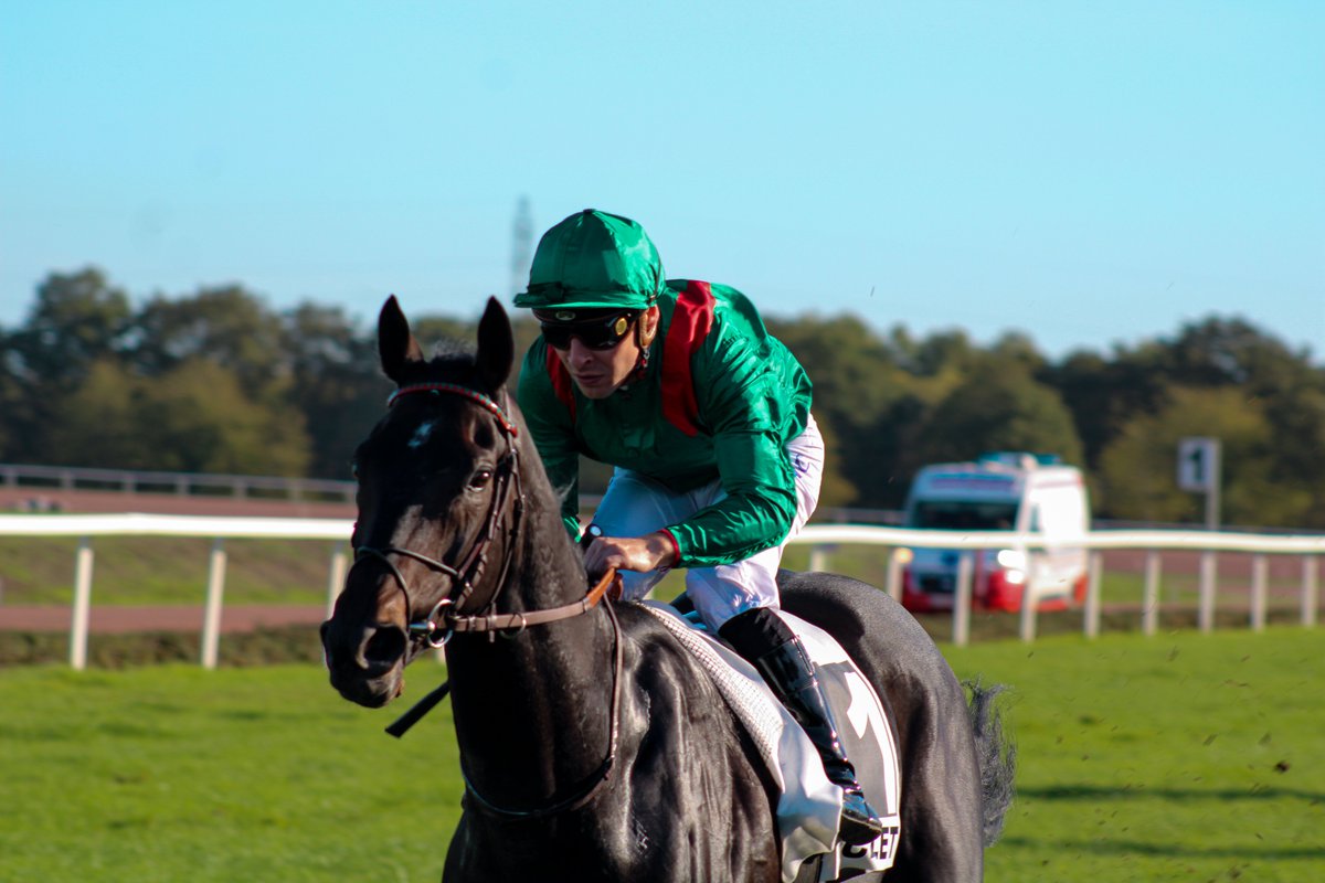 Courses hippiques Anjou-Maine Centre-Ouest tweet media