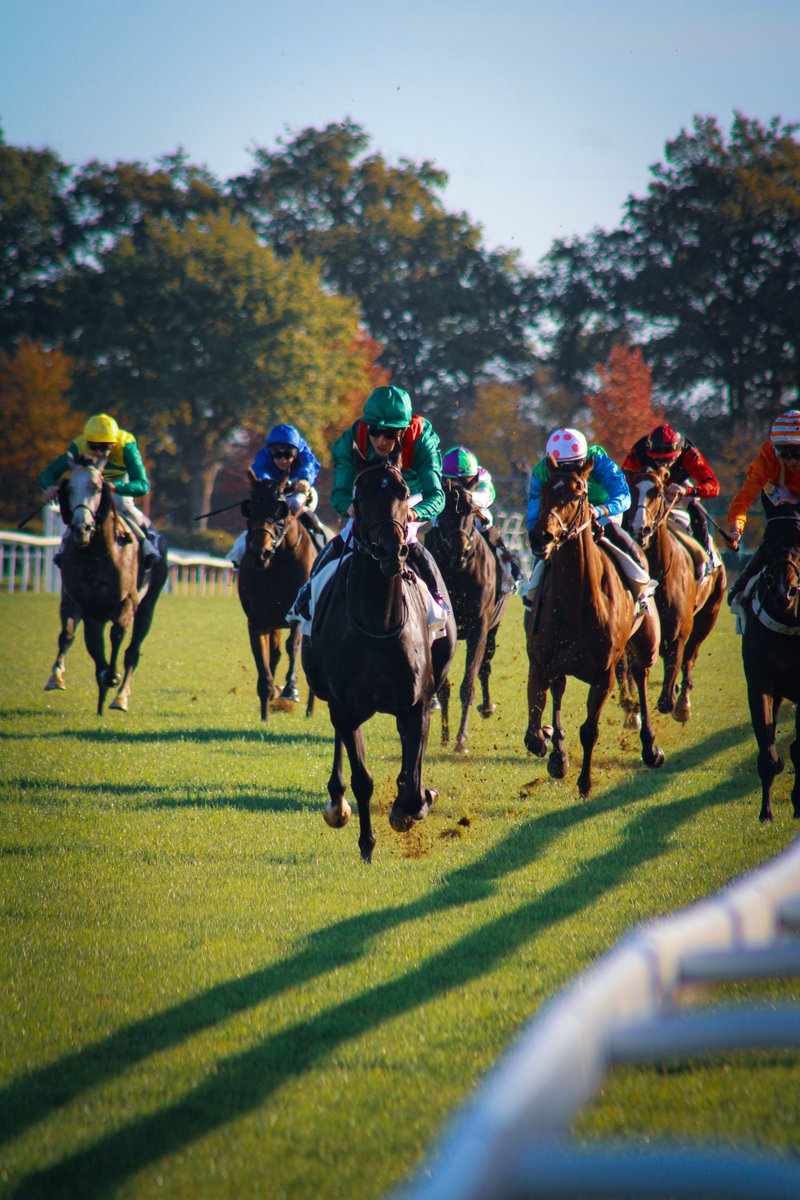 Courses hippiques Anjou-Maine Centre-Ouest tweet media