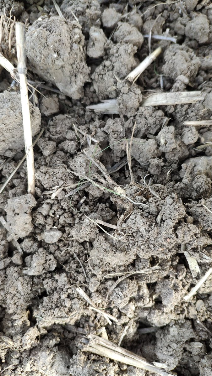 Doeko van'tWesteinde tweet media