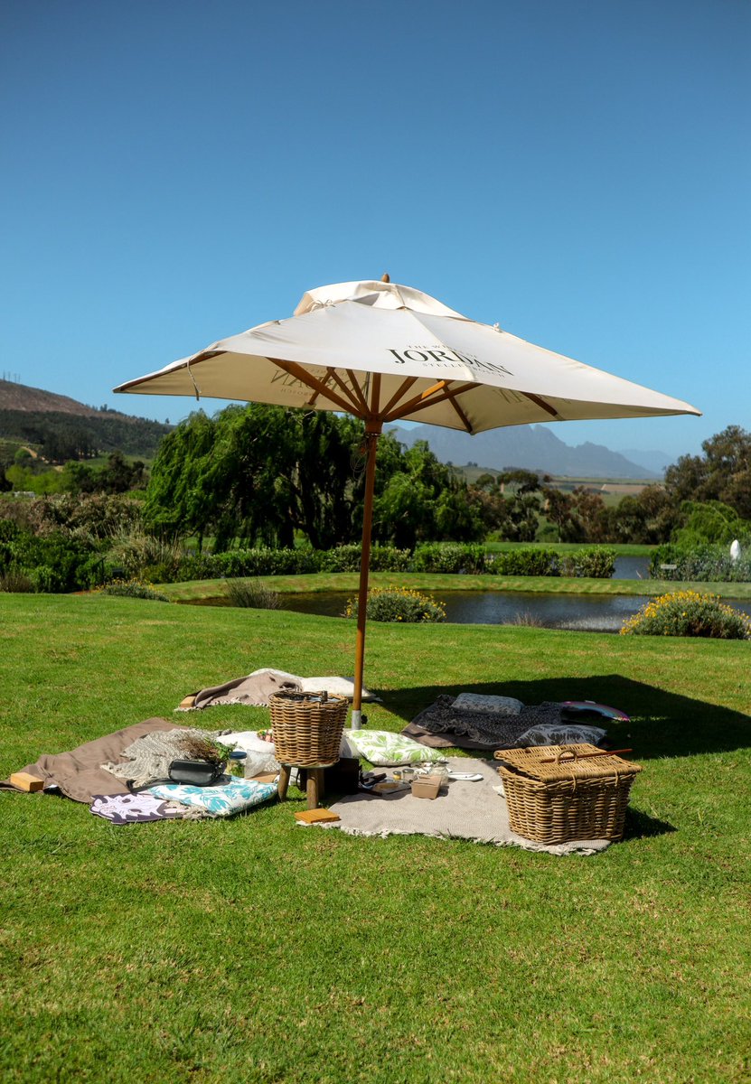 on Twitter "attended the cutest picnic yday! celebrating