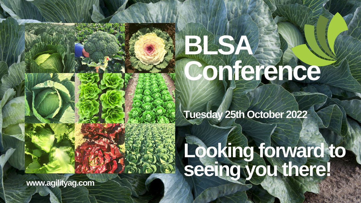 Agility Agriculture (@agility_ag) on Twitter photo We are looking forward to exhibiting at the long-awaited Brassica and Leafy Salad conference next week. Come and see the @agilityag team for a discussion about @takiieurope brassicas and <a href="/GautierSemences/">Communication Gautier Semences</a> lettuce including the new Gautier #redcrush range. <a href="/BritishGrowers/">British Growers</a> We are looking forward to exhibiting at the long-awaited Brassica and Leafy Salad conference next week. Come and see the @agilityag team for a discussion about @takiieurope brassicas and <a href="/GautierSemences/">Communication Gautier Semences</a> lettuce including the new Gautier #redcrush range. <a href="/BritishGrowers/">British Growers</a>