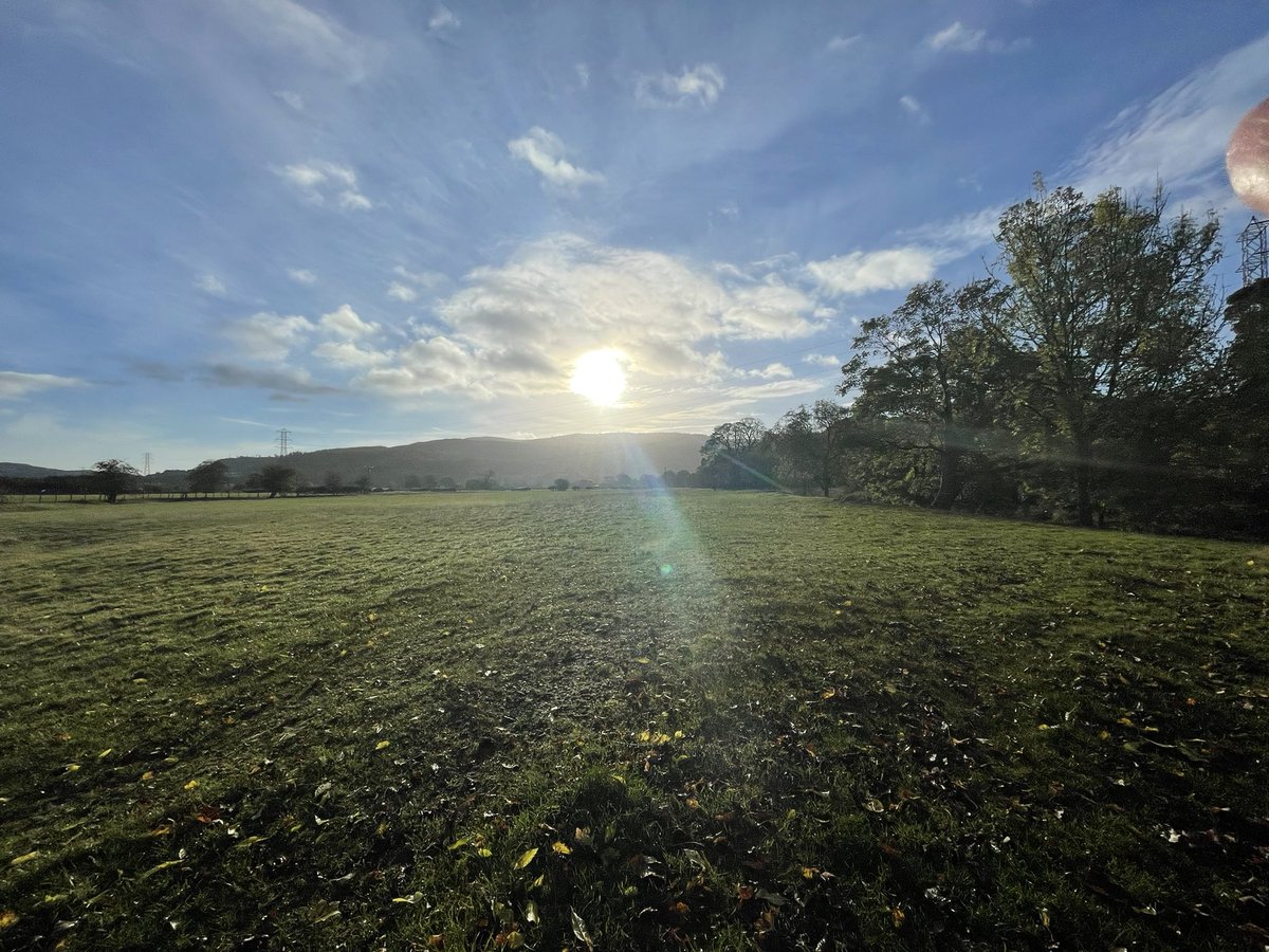 lynnewilliams27's tweet photo. The threatening skies turned to sunshine on our 5k run this morning @Rhug_Estate @bennettrun @DanielTheEnginr - had a little โchatโ with my neighbours when we returned home too! #rhugrunners #runningwithmydog #turkeysoftwitter #nikerunclub https://t.co/vGrpjtSMEe