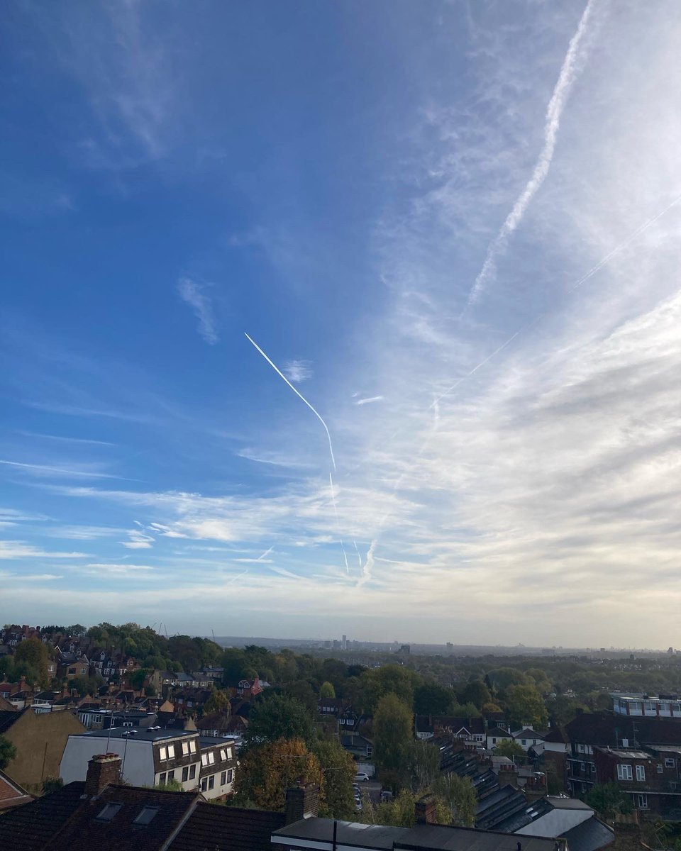 _jen_mo's tweet image. 3.5 mile run done.
The lovely woods &amp;amp; views over London. And it’s so warm! I love it 🍁🍂
It was also my 1st post covid run &amp;amp; it felt great.

#WarmOctober #BBJRFallFitness