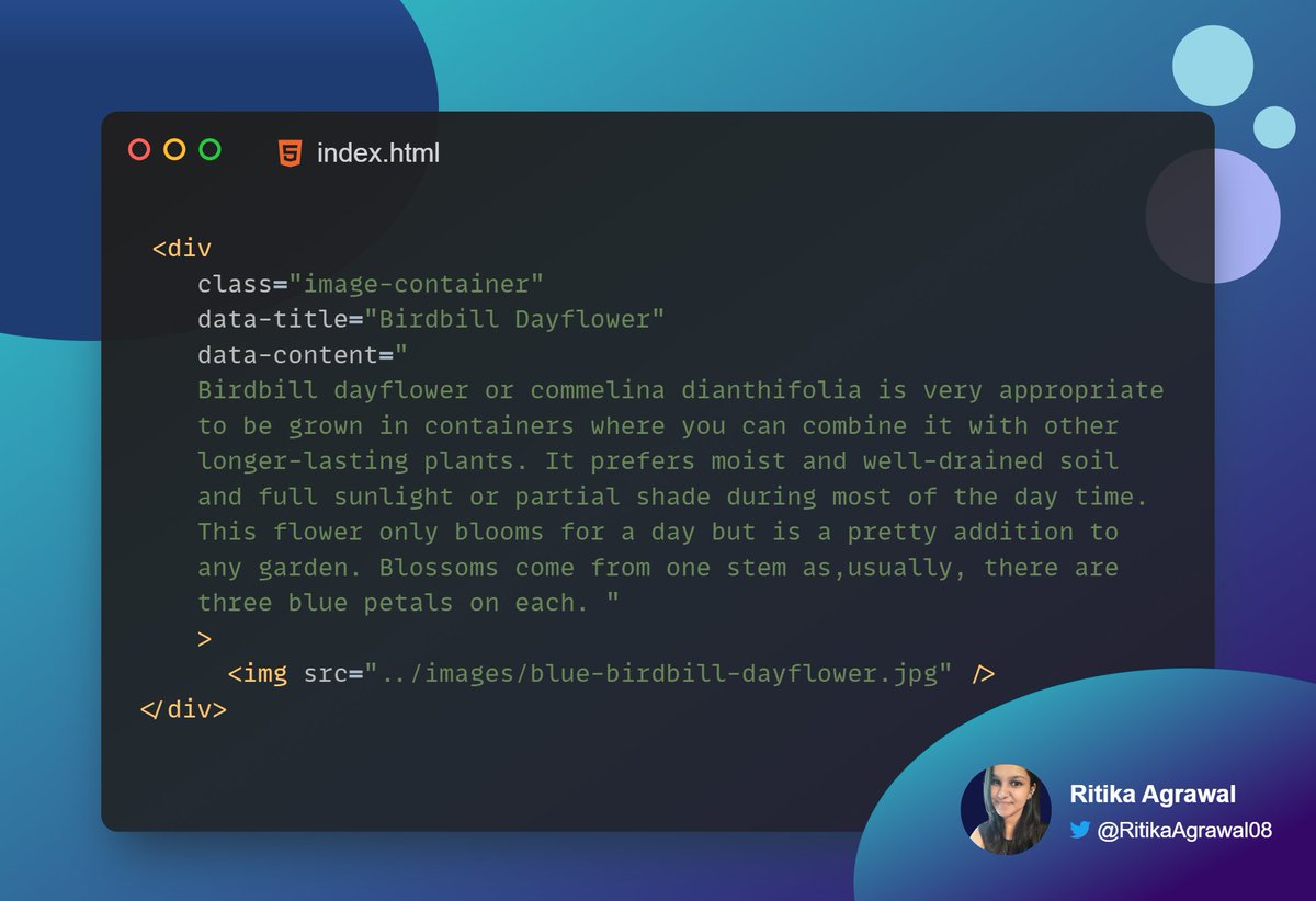  let s make an image hover effect in 4 simple steps using css a thread
