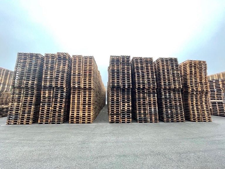 RotomPT's tweet photo. Bom dia,

A sua empresa tem paletes boas ou partidas para venda? Somos a única empresa em Portugal licenciada pela European Pallet Association e.V. (EPAL) para reparação de europaletes EPAL 👉 https://t.co/HwIRqxagJ4

#qualidade #sustentabilidade #reutilização https://t.co/S6tn79Toaj