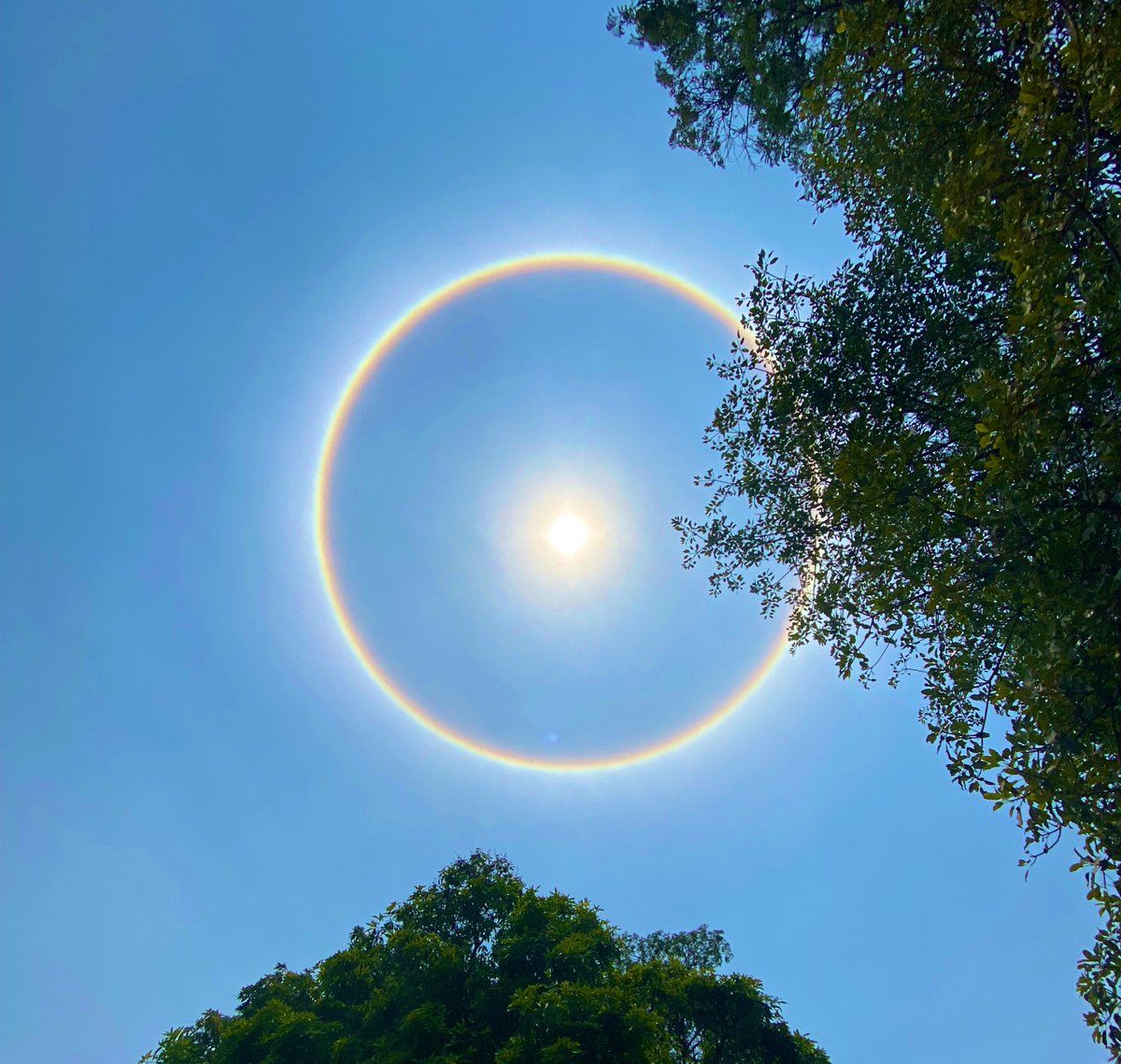 thebrightsyd's tweet photo. The sun today???!!!!
😍
📸: Brightside☀️ https://t.co/PBpQW9Fg2O