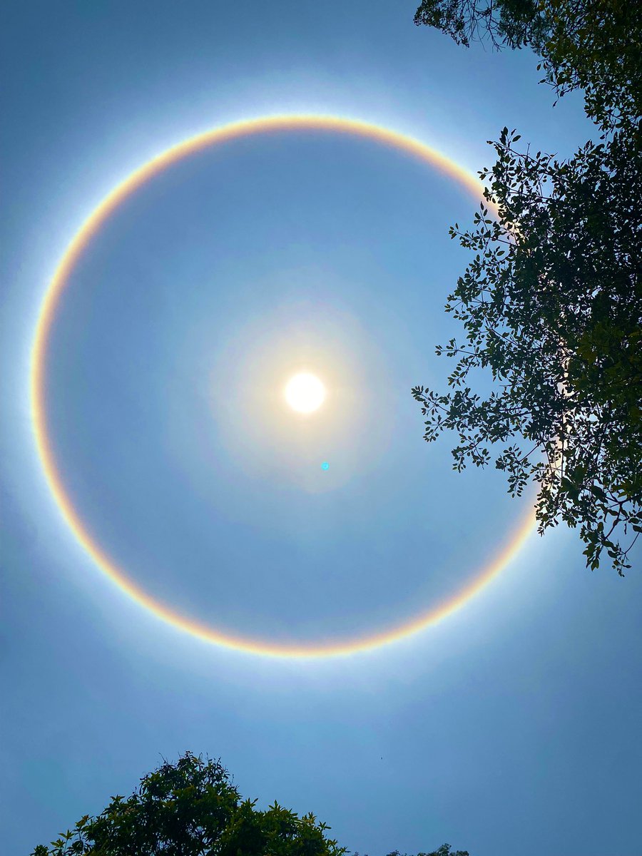 thebrightsyd's tweet photo. The sun today???!!!!
😍
📸: Brightside☀️ https://t.co/PBpQW9Fg2O
