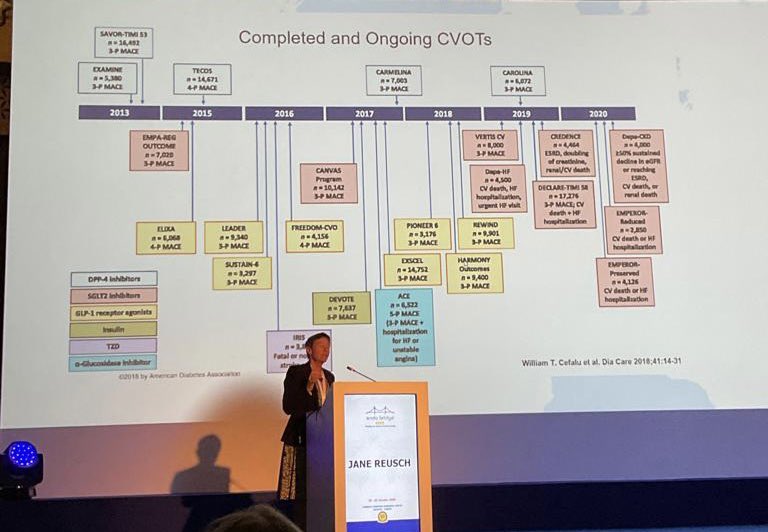 ENDOofTomorrow's tweet image. A comprehensive overview of diabetes and new strategies in the post - CVOT era from past president of @AmDiabetesAssn Dr. Jane Reusch!  #EndoBridge 2022