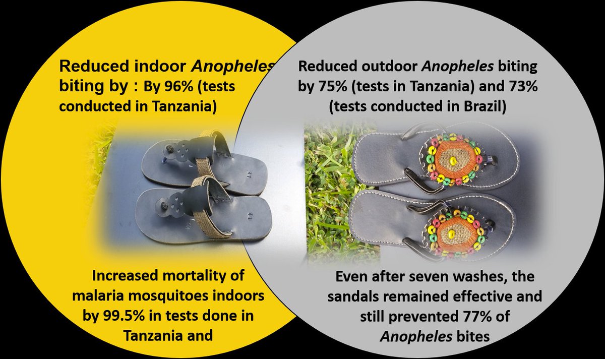 A few years ago, we began testing these mosquito-repellent sandals with my friend <a href="/ras_sango/">Sangoro</a>, several other colleagues at <a href="/ifakarahealth/">Ifakara Health Institute</a> and Prof. Alvaro Eiras' lab at <a href="/ufmg/">UFMG</a>  in Brazil;
~
Great technology, worth revisiting. Target was both travellers (and tourists) and locals