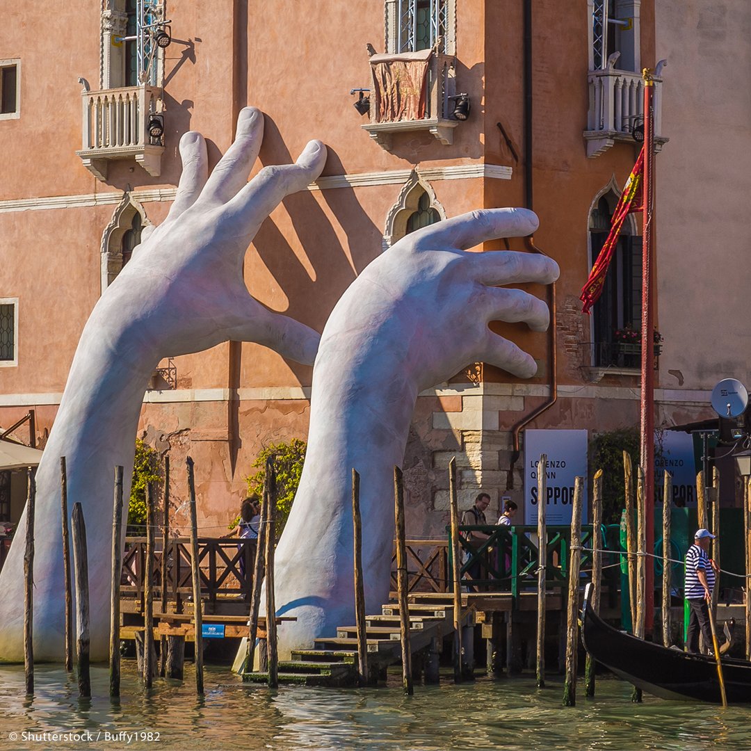 UNESCO 🏛️ #Education #Sciences #Culture 🇺🇳 tweet media