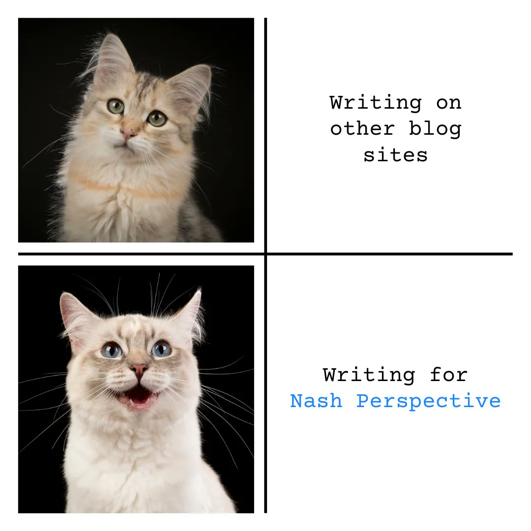 factnash's tweet photo. Write with Nash Perspective and Earn a living for yourself!
Also, give a reaction to how cute the cat is! 😇
𝗦𝗶𝗴𝗻𝘂𝗽 𝗻𝗼𝘄!
https://t.co/r6G2ck7CAf

Learn More!
https://t.co/SMq9ksNtUV

#money #writing #makemoney #makemoneyonline #getpaid #getpaidforwriting #NashPerspective https://t.co/s4N1f6YDYz