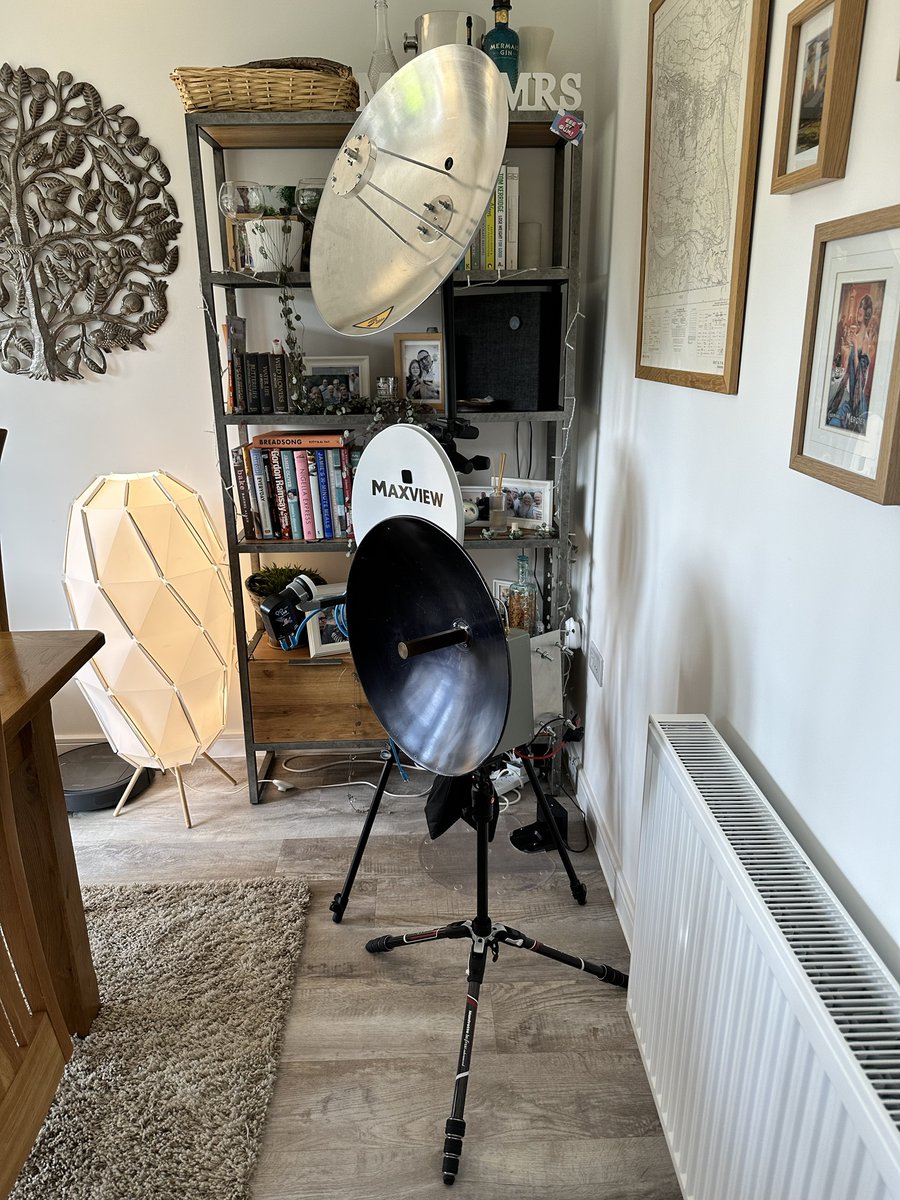 MrJoshua tweet media