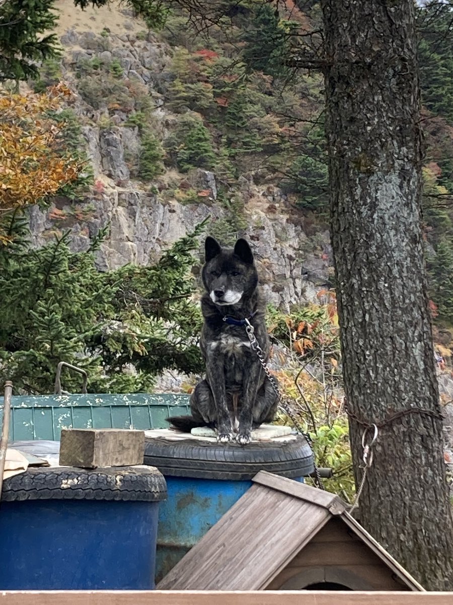 ejae_00's tweet photo. 10/22 木無山〜三ッ峠山〜御巣鷹山！ https://t.co/8j4Ijs544m