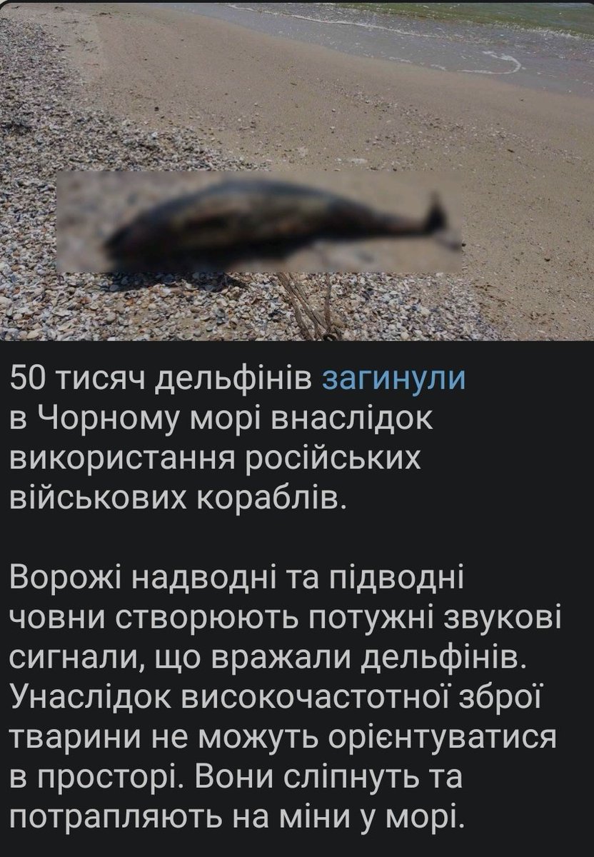 айкішка підкроватна 🇺🇦 tweet media