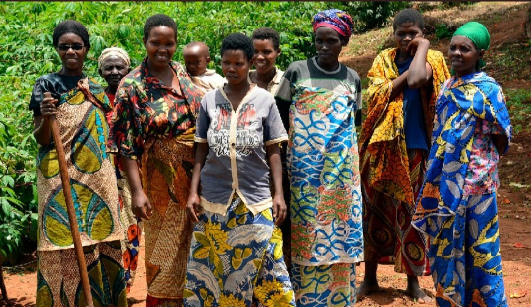 #SHE-COOPS tweet media