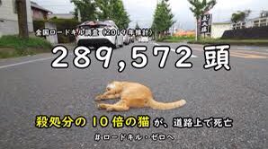 F_C_TTM's tweet photo. ・犬の販売数は猫の約4倍
・猫の殺処分数は犬の約5倍
・猫のロードキルは殺処分の10倍

殺処分の問題は生体販売には無く、飼育者、野外猫関与者にある事がわかる。
加え、外で生まれる猫の殆どは即死亡。
どう見ても、まず外猫を無くす事が、殺処分を含めた犬猫の死亡数を減らす事につながる。 https://t.co/jqJtp3Xf9R
