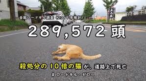 ・犬の販売数は猫の約4倍 ・猫の殺処分数は犬の約5倍 ・猫のロードキルは殺処分の10倍 殺処分の問題は生体販売には無く、飼育者、野外猫関与者にある事がわかる。 加え、外で生まれる猫の殆どは即死亡。 どう見ても、まず外猫を無くす事が、殺処分を含めた犬猫の死亡数を減らす事につながる。