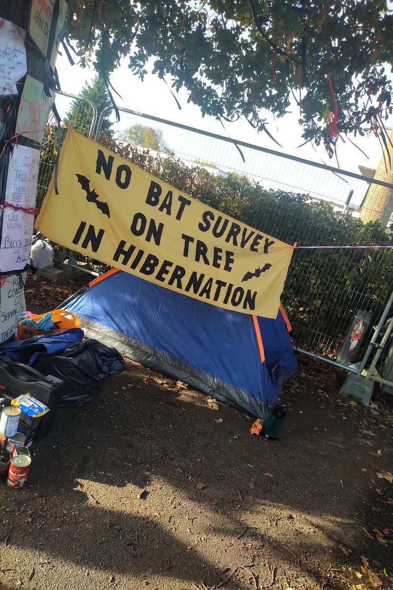 XRSouthend's tweet photo. We're still here defending our old oak outside a #Rochford primary school from Bloor Homes! And let me tell you, we are getting a LOT of honks from local people.
@JustPlaneNews @ChrisGPackham https://t.co/hxfQ4khhbt