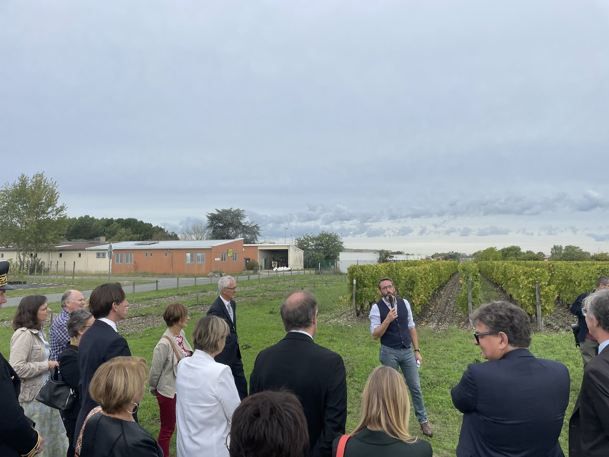 INRAE_UEVB's tweet photo. Accueil sur le site @INRAE_UEVB avec @inrae_save,  @isvv_bordeaux et @UMREGFV De Mme la Ministre  @sup_recherche @sretailleau - transition agroecologique et adaptation du vignoble au changement climatique https://t.co/7bF50PuY0z