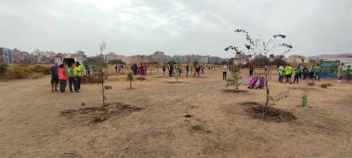 HuelinTV's tweet photo. Jornada de plantación y riego en @BosqueUrbanoMA con participación de vecinos y vecinas en apoyo del proyecto medioambiental para la zona, que una vez más está siendo lastrado por el ayto. @malaga ante la petición de costas judiciales por la paralización de construcción de torres https://t.co/UIcnjRDioM