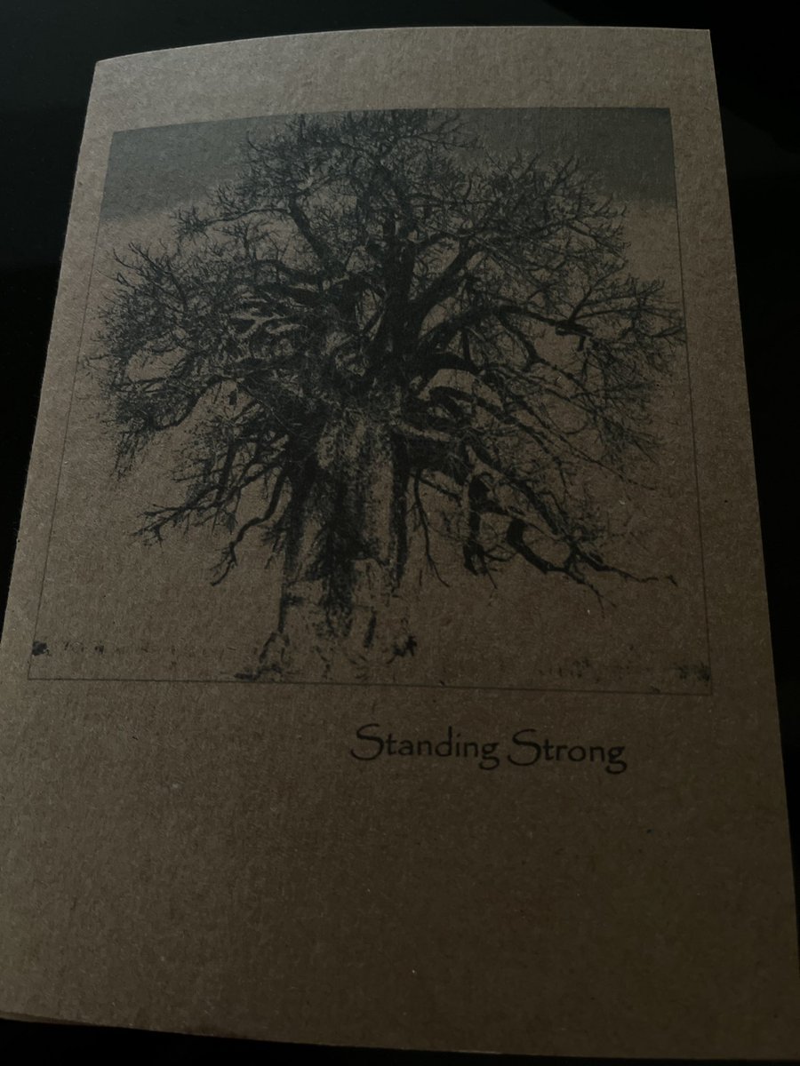 vividlilyart's tweet photo. Some new products being added to #etsy #lessonsinnature https://t.co/xFQV3hhzCU