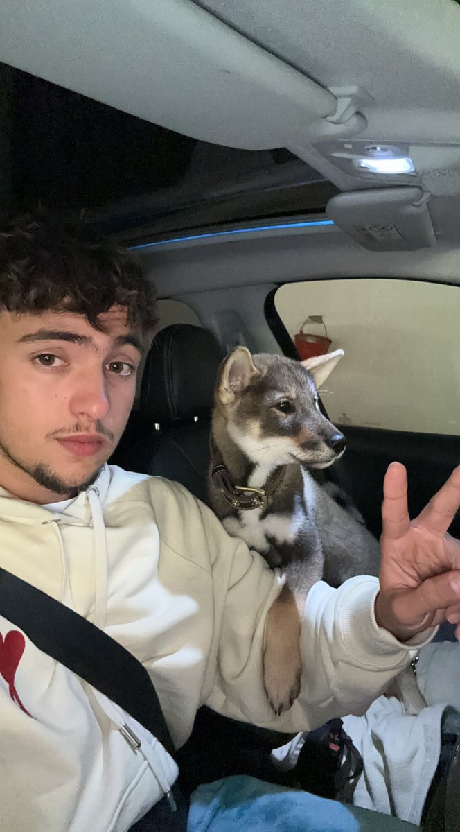 Inoxtag's tweet photo. Je suis trop heureux depuis que j’ai mon chien je prend un peu plus de temps pour moi, je m’occupe de lui, ça fait du bien aussi de déconnecter un peu de temps en temps ❤️ hâte de le voir grandir, je vais bien le dresser ca va être le meilleur chien 🐕 https://t.co/XSDZMfGVlY