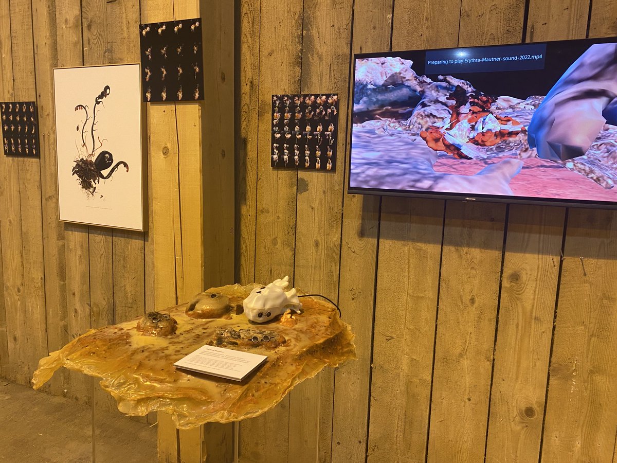 Margarete Jahrmann tweet media