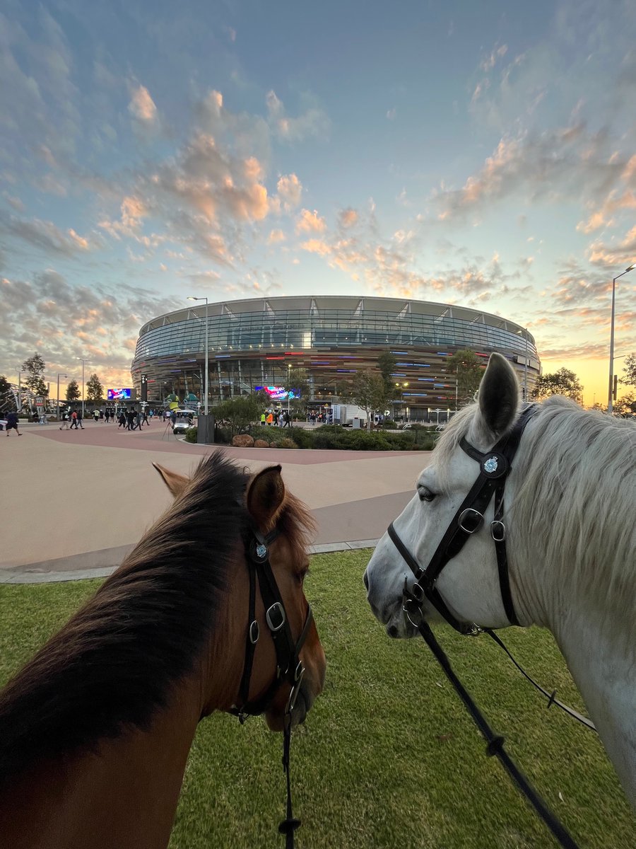WA Police Force Mounted tweet media