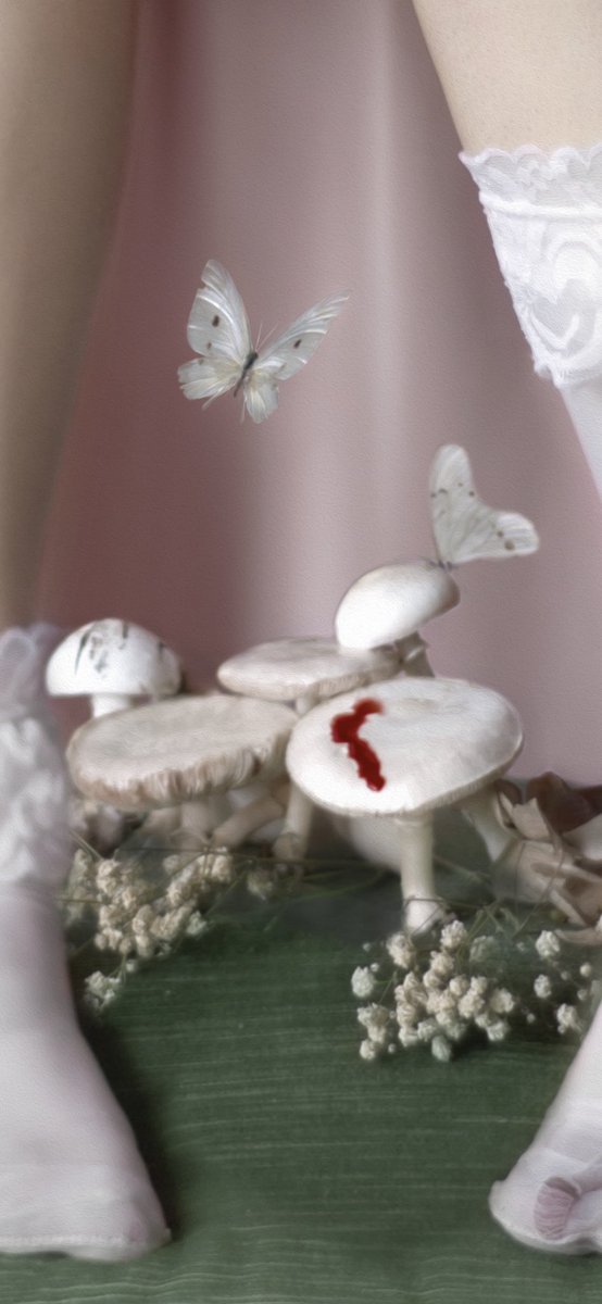 meijoliee's tweet photo. Butterfly Effect���
#Photoshop #PhotographyIsArt #art #FairyTail #Fairycore #fairy #photographyart #doll #popsurreal #nicolettaceccoli https://t.co/wsYj3luCp5