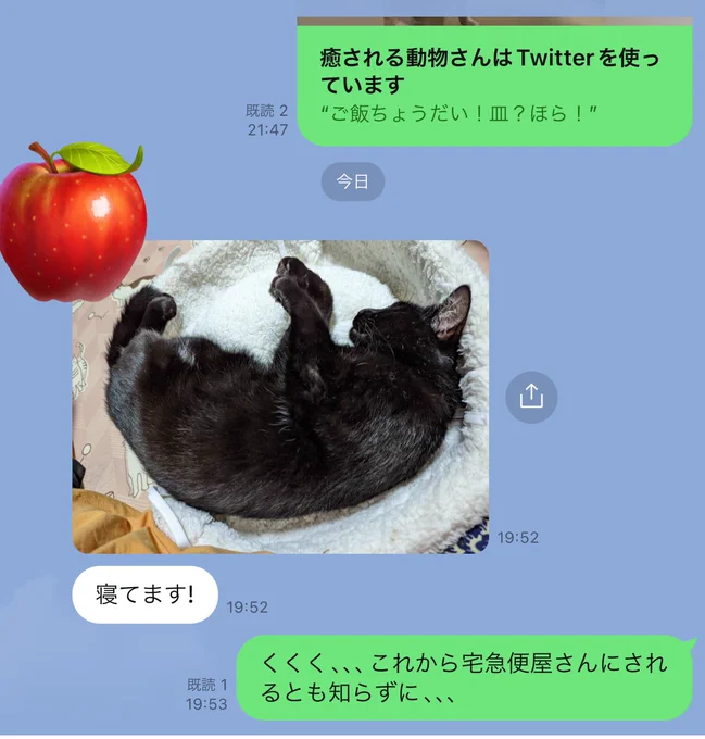 母とのやりとり 