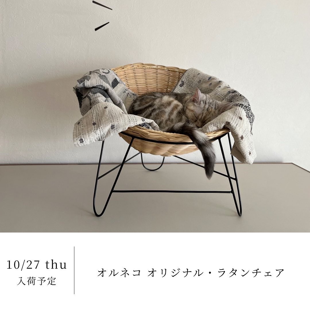 オルネドフォイユラタンチェア オルネドフォイユ ラタンチェア