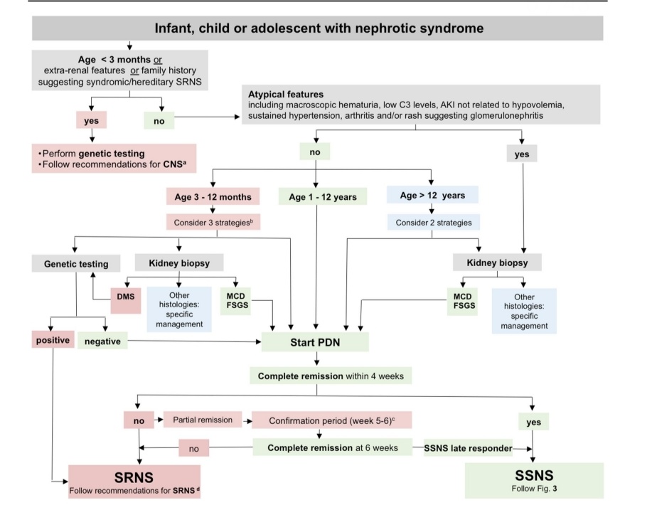 Just published! IPNA guideline for management of steroid-sensitive nephrotic syndrome! <a href="/Ped_Neph/">Pediatric Nephrology</a>
link.springer.com/article/10.100…