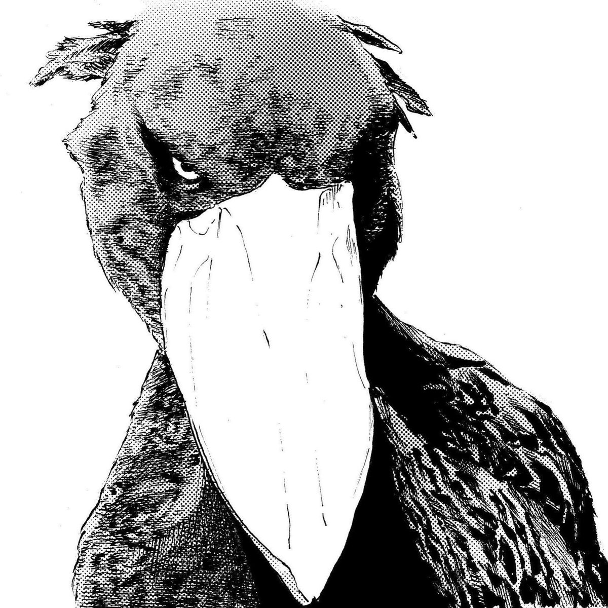 過去に描いたハシビロコウまとめです◎ 