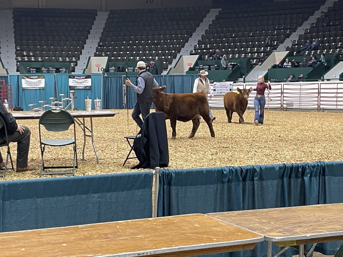 ThommyPetersen's tweet photo. Visiting MN Beef Expo this morning ⁦@mnstatefair⁩ ! Exhibitors telling me a big turnout of over 1,000 head  of the best of MN &amp; upper Midwest beef cattle, show runs through tomorrow. https://t.co/ZCWA3Cpm14