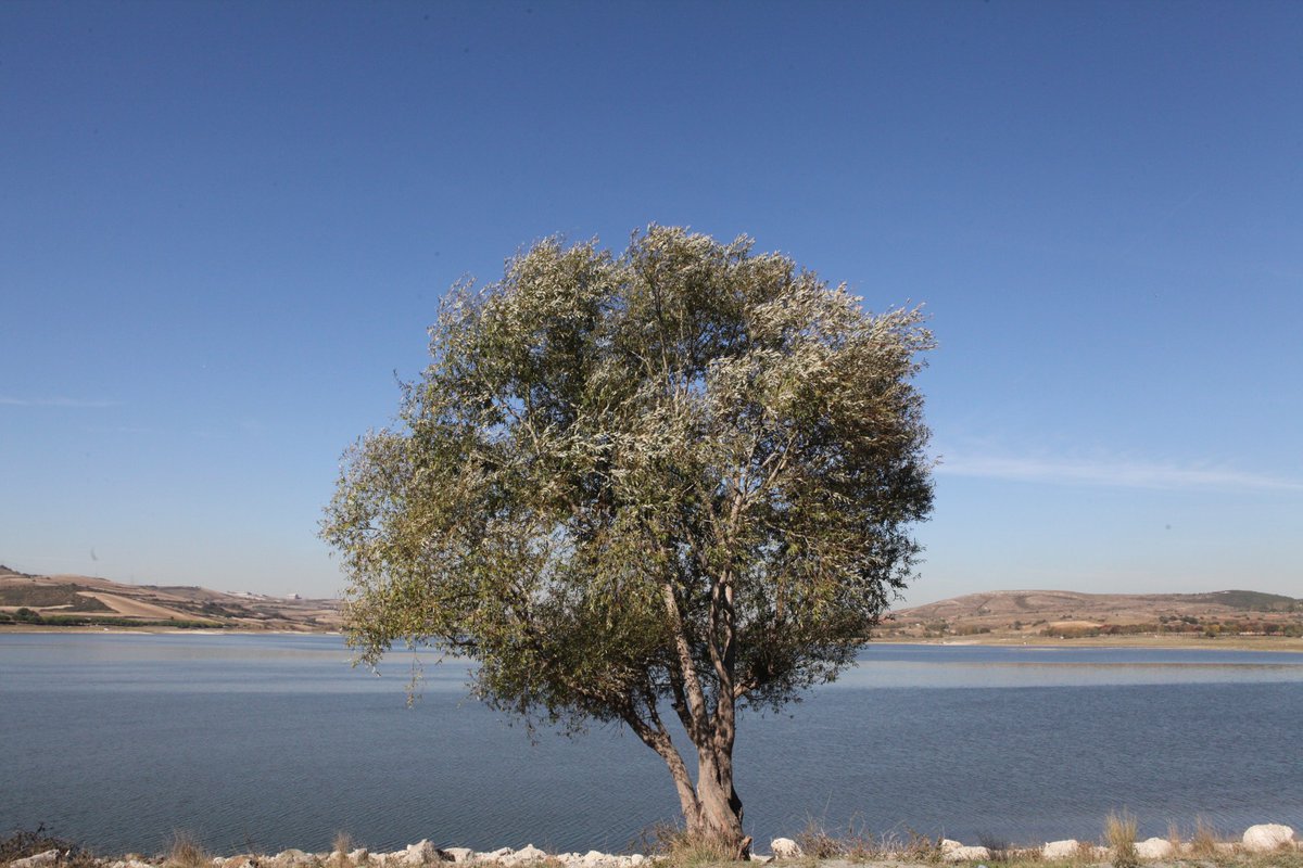 Engin baraj gölü, masmavi gökyüzü ve mevsimin renk cümbüşü ile Sazlıdere'de sonbahar...