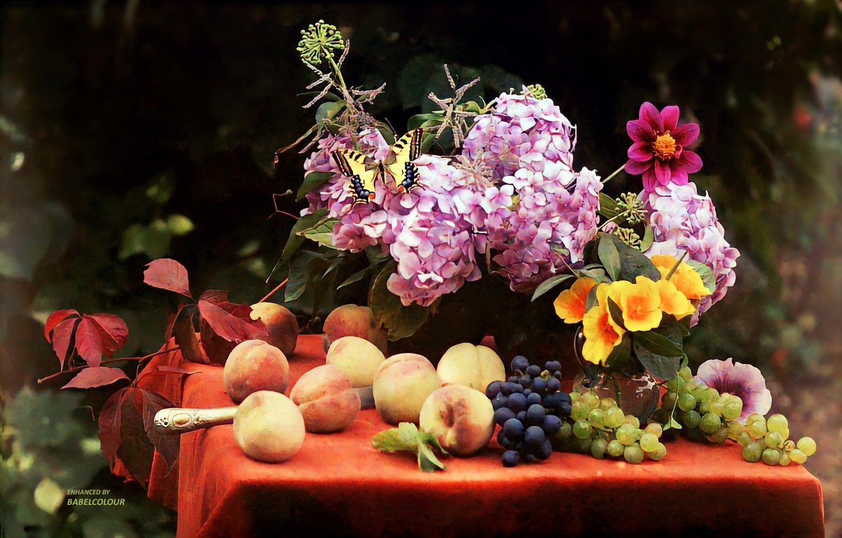 A splash of beauty to brighten your Twitter feed today. I've enhanced for you this lovely autochrome by Gustave Gain. Amazingly, it was taken over 112 years ago, yet it captures the brief, ephemeral bloom of flower &amp; fruit for all eternity. It is original colour, not colourised.