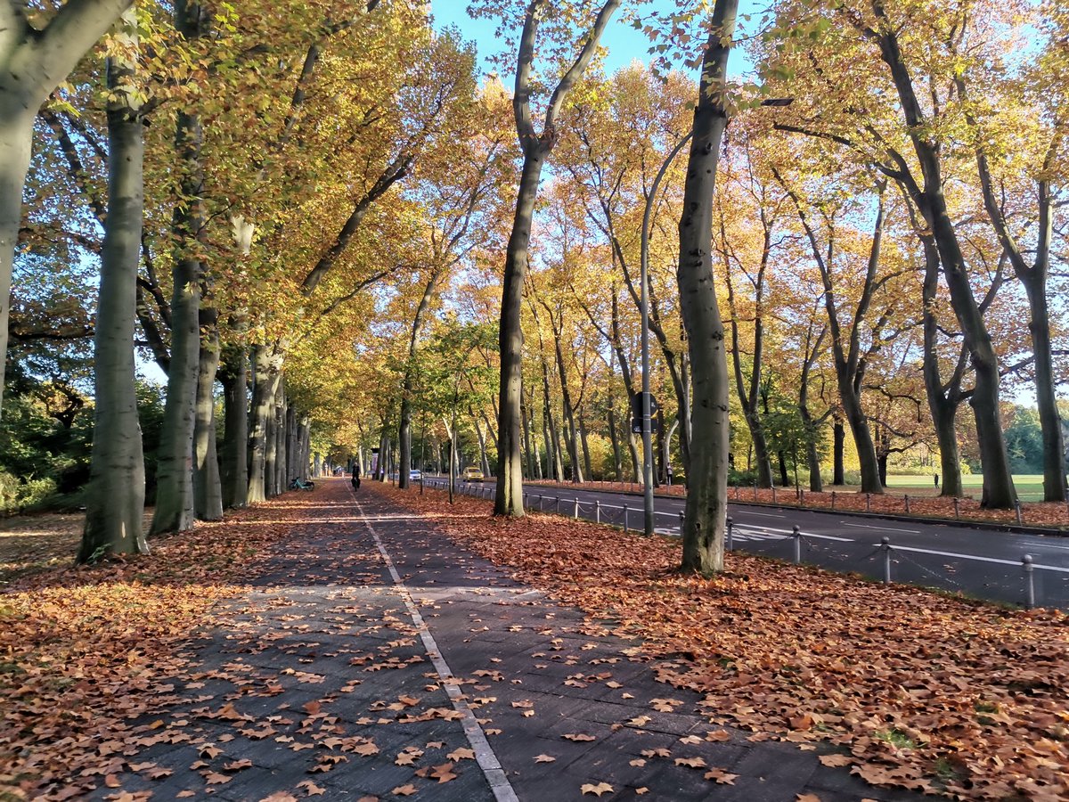 Bits&BäumeBerlin tweet media