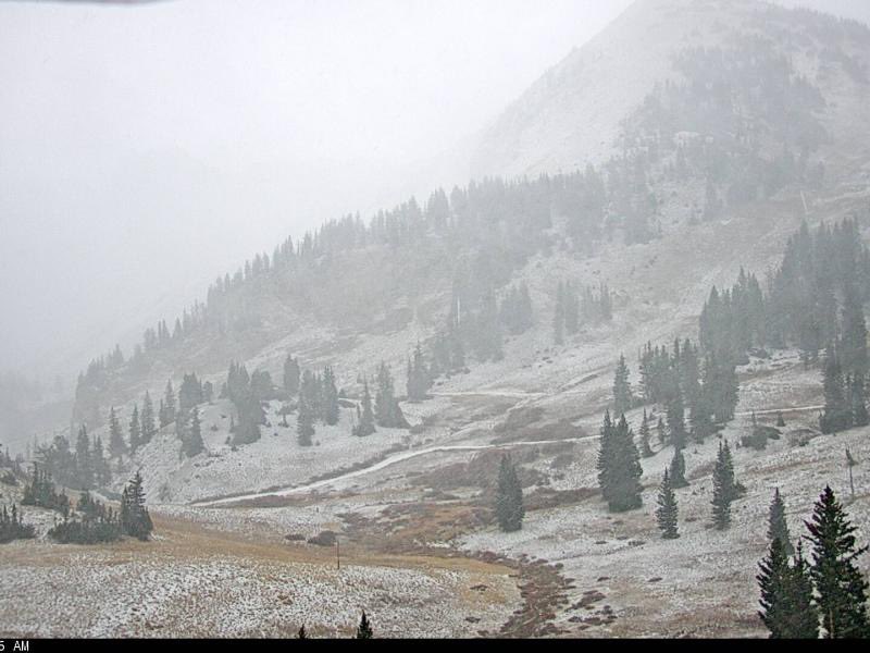 WasatchSnow's tweet photo. First signs of accumulation in the highest elevations of Alta! If I’m not mistaken, this is the first snow of the season in the central Wasatch. October 22 is quite late for the first accumulating snow up here. https://t.co/1tqc5qO96P