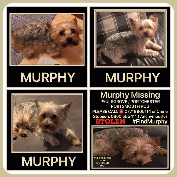 EmHelyer's tweet photo. Help get this boy home to his rightful family. 1 year since he went missing, presumed stolen. https://t.co/vr9tHm2bmP
