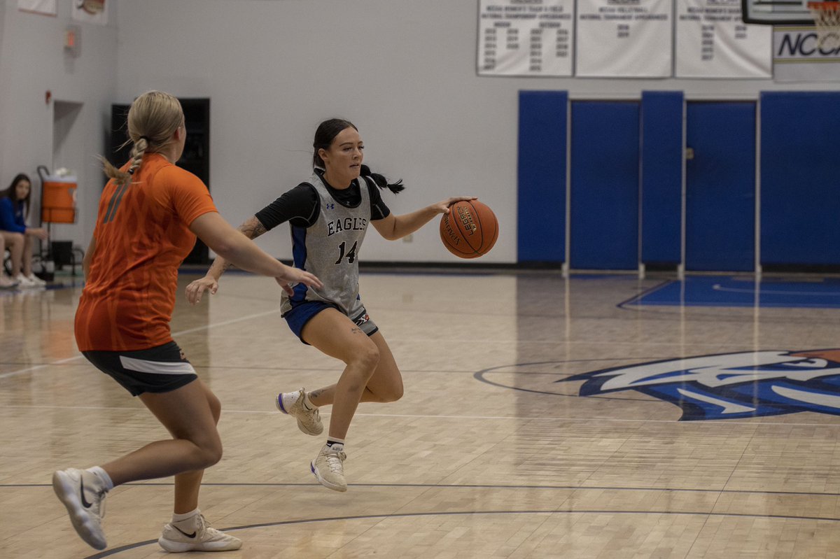 Brayden Carpenter tweet media