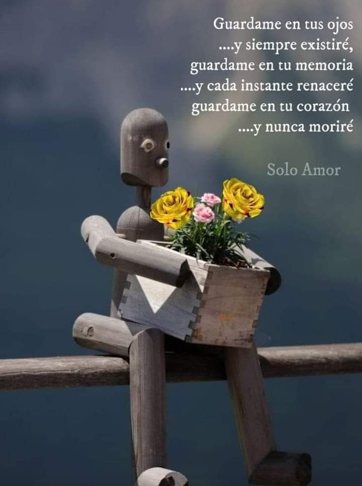 alma_besos's tweet photo. Guárdame en tus ojos y siempre existiré,
guárdame en tu memoria y cada instante renaceré,
guárdame en tú corazón y nunca moriré.
#CorazonadasTeam 🫶🏻 https://t.co/wlnzdjgnaQ