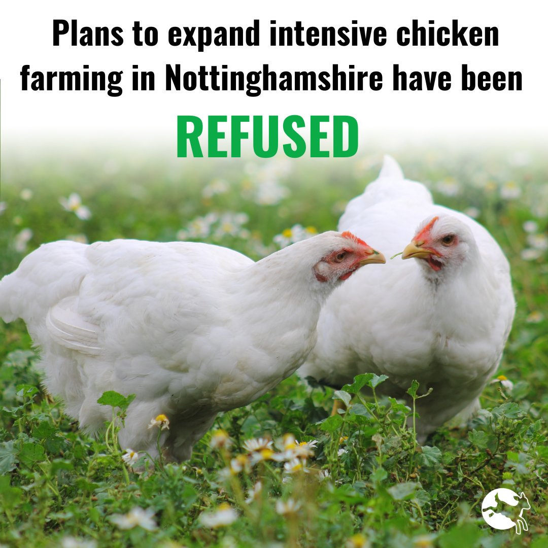 GOOD NEWS! 💚🐔 If the plans in Owthorpe had been allowed to go ahead, there would have been four new poultry sheds, with each one housing 47,500 birds. Thank you to everyone who joined us in objecting, especially local residents who were campaigning against this farm.