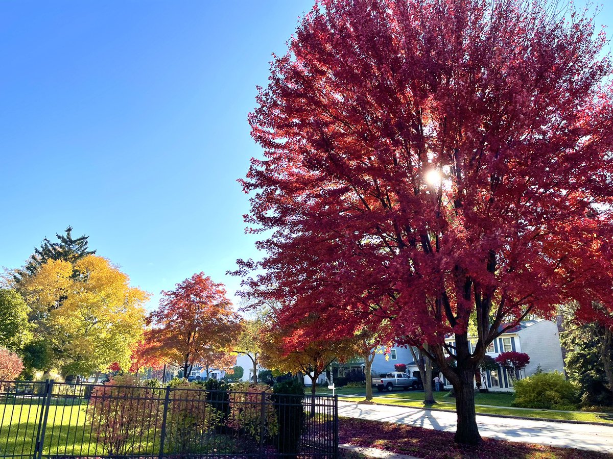 Ben__Hutchison's tweet photo. Feels like it could be a top 10 weather dayβ¦of the YEAR. #FallSoHard https://t.co/7aqlmtVGvy