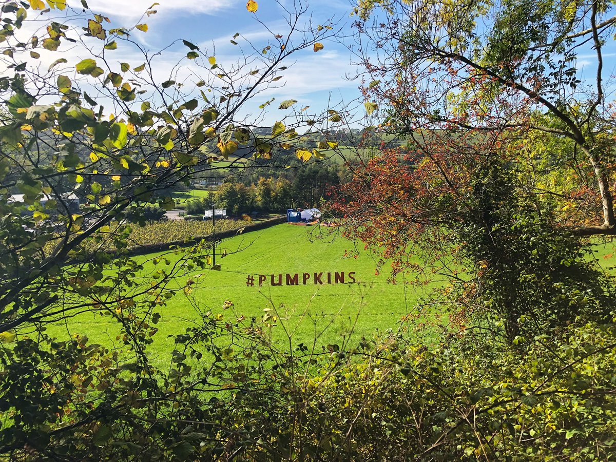 SimonHawkins's tweet photo. Golden autumn on the @CRTWalesandSW @CanalRiverTrust #monbrec #monmouthshire #brecon #canal earlier this week! https://t.co/iWDj5L5ShP