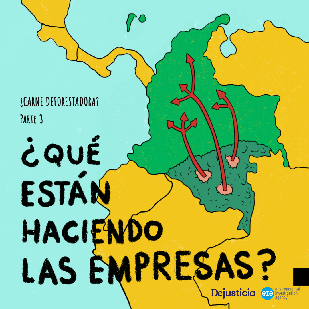 Dejusticia's tweet photo. 🌳¿Carne deforestadora? Parte 3
Aunque existen acuerdos entre el Gobierno y algunas empresas para detener la deforestación asociada a la producción de carne, sus logros han sido muy tímidos. En este cómic junto a @AmazinkStudio explicamos por qué. https://t.co/eoIPo49030