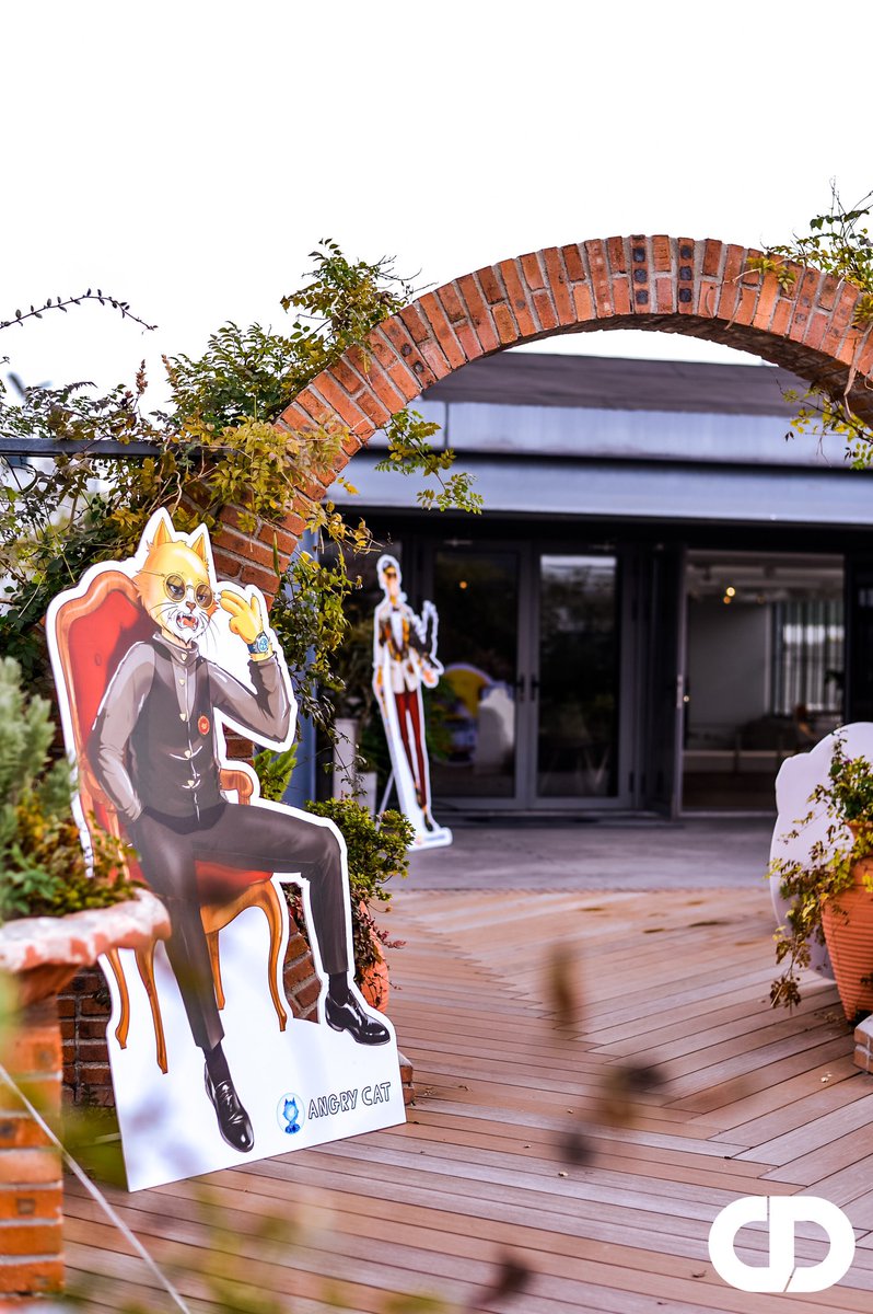 Angry Cat tweet media