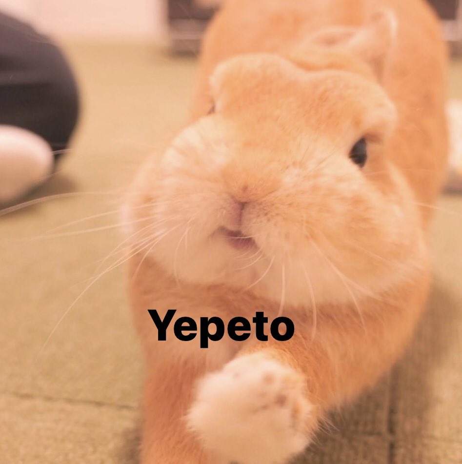 wolfertake's tweet image. Buenos días ☀️