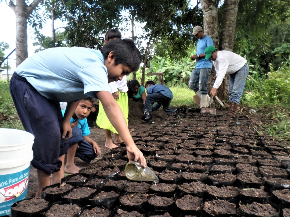 'The women in our community organized themselves & started building nurseries for our trees' With @theGEF and @FAO support, 🇻🇪's Indigenous Kariña women are promoting restoration & gender equality in the forest sector 🌳 wrld.bg/9SuZ50LgKWg